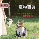 淺灰（現貨急速出貨）,7XL × 1個