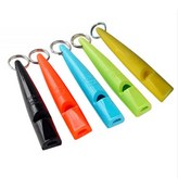 베이비블루 × 1개