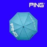 1개