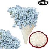 B 푸른 색 × 1개