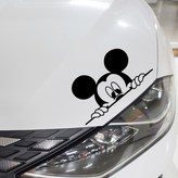 미니레드 × 1개