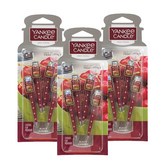 블랙체리 4개입 x 3개