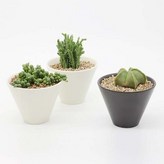 블랙 × 1개