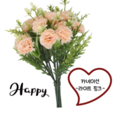 라이트핑크