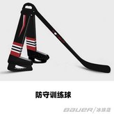 골드 방어 훈련기 × 1개