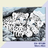 아기설표