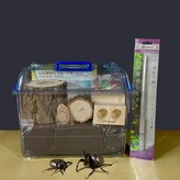 06 장수성충특대형 고급세트 × 1세트