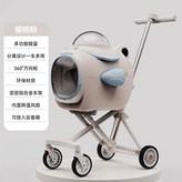 粉色,銀色車架 × 1個