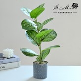 2024238-A（塑料花盆） × 1個