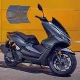 블루(Blue) × 1세트