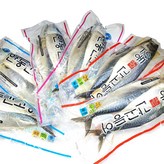 16. 안동 간고등어 전통 1000g × 2개