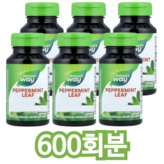 600회분 × 1개