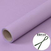 37.연보라색
