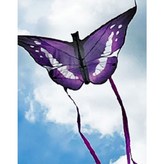 나비떴어연 × 1개