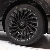 골드카본 × 1개