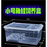 小號（水陸）飼養盒 × 1個