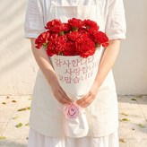 레드 카네이션 꽃송이수