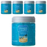 터쿼이즈스카이