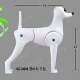 테디 골격 × 1개