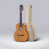 N520AC 秋色松 × 1個