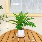 菊葉綠色+小石子花盆 × 1個