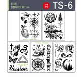 TS-6 × 1개