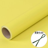10.겨자색