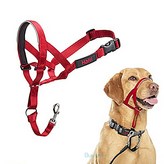 레드 사이즈 1 × 1개