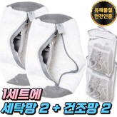 화이트