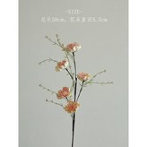 香檳色1支 × 1個
