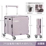 特大號 - 單軸承2.0英寸金屬萬向輪 - 灰紫 靜音帶剎車 × 1個