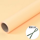 08.연노랑색
