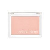 BALLET SHOES (발레 슈즈)