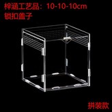 長10寬10高10cm × 1個