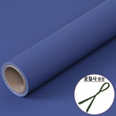48.남보라색