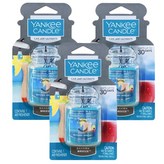 바하마브리즈 x 3개