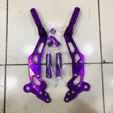 紫 Purple × 1個