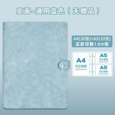 藍色 正反可裝100張 × 1個