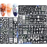 A01 × 1세트