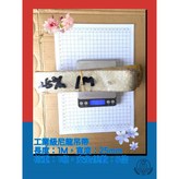尼龍吊帶, 寬25mm荷重1噸, 長度：1M × 1個