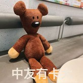 憨豆熊:100cm × 1個
