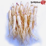 (세척)원삼 10뿌리-500g × 1개