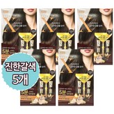 진한 갈색(다크 브라운)