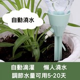 淺綠  整隻高18 寬8公分 × 1個