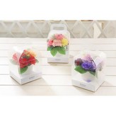 버터플라이 카네이션 화분 레드 × 1개