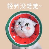 升級 西瓜卡扣款,S 建議1619cm約35斤 × 1個
