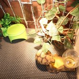 단일상품1 × 1개