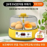 6알 반자동 (5V 보조배터리) × 1개
