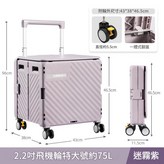 特大號 - 雙排2.2英寸飛機萬向輪 - 灰紫 靜音帶剎車 × 1個