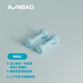 淺藍色/1KG*2【新手初階】 × 1個
